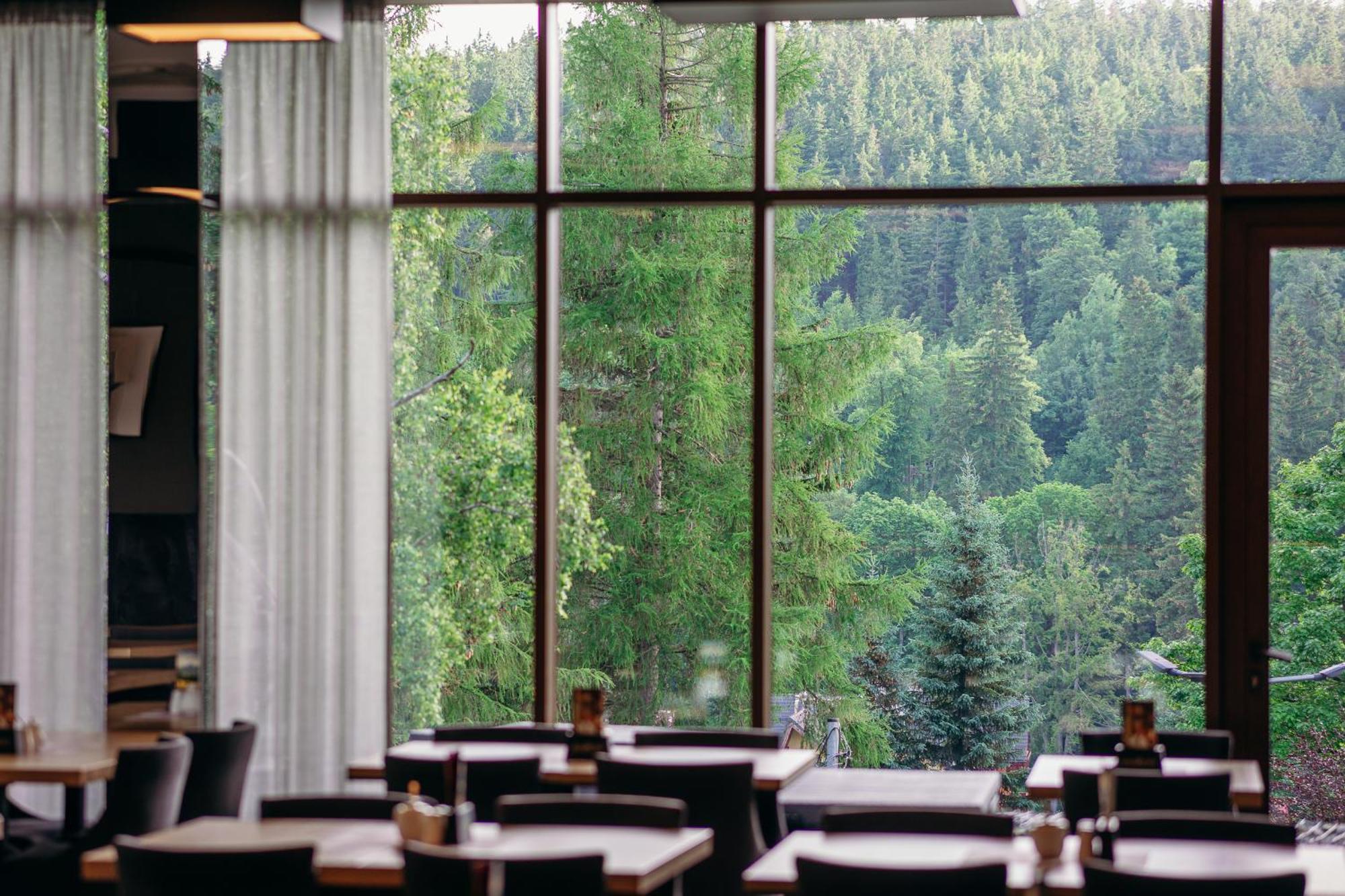 Aparthotel Czarny Kamien & Schreiberhau